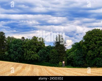 Campo paesaggio con foresta, Friedberg in Baviera, Germania Foto Stock