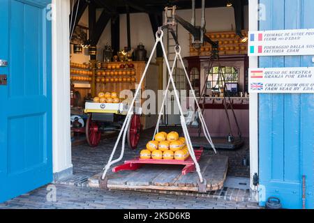 Paesi Bassi, Edam, Jan Nieuwehuizenplein, De Kaaswaag, negozio di formaggio storico Foto Stock