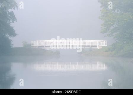 Stagno e ponte nella nebbia mattutina, Hamm parco termale, Nord Reno-Westfalia, Germania Foto Stock