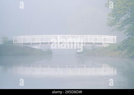 Stagno e ponte nella nebbia mattutina, Hamm parco termale, Nord Reno-Westfalia, Germania Foto Stock