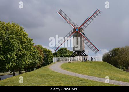 Mulino a vento Sint-Janshuismolen, Kruissest Park, Bruges, Fiandre Occidentali, Fiandre, Belgio Foto Stock