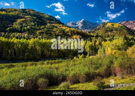 Montagne di granito e fogliame autunnale. Wasatch Mountain Range, American Fork, Utah, USA. Foto Stock