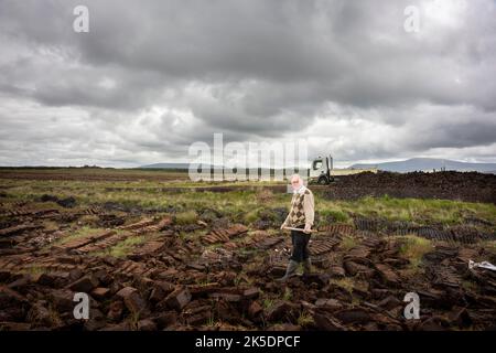 Aughness, Ballycroy, County Mayo, Irlanda, 6-18-2019. Girando il tappeto erboso nell'Irlanda del Nord-Ovest Foto Stock