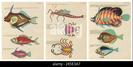 Antiche illustrazioni di pesci, granchi e gamberi con annotazioni in francese. Da Poissons di Louis Renard, Ecrevisses et Crabes, pubblicato nel 1754. Incisioni in rame colorato disposte affiancate in 2 pagine dal titolo originale. Foto Stock