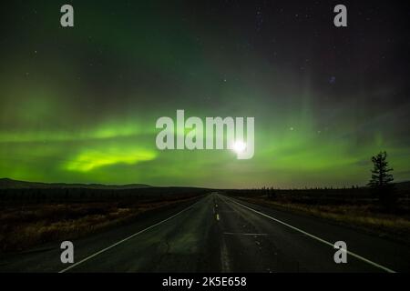 Aurora Borealis e luna su Eureka nell'Alaska centro-meridionale. Foto Stock