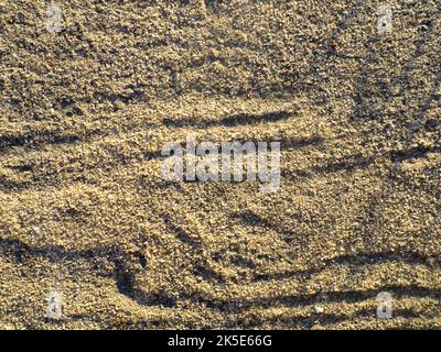 La struttura del materiale. Superficie di sabbia irregolare. Sotto i vostri piedi. Sfondo marrone. Modelli di sabbia Foto Stock