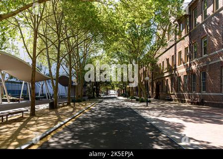 Jones Street presso il campus TAFE NSW - ultimo Foto Stock