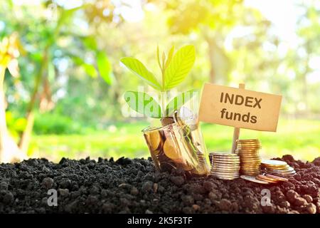 Investimento sul concetto di fondi indicizzati. Monete in un vaso con terreno e pianta crescente in background naturale. Foto Stock