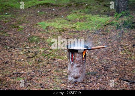 Barbecue nella foresta. Soffriggere i funghi in una padella sul fuoco Foto Stock