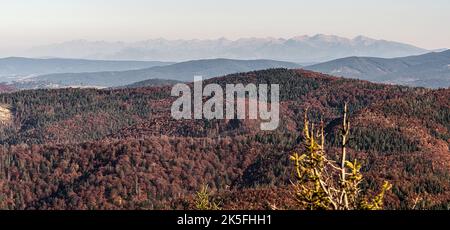 Montagne Tatra da Velka Raca collina in Beskid Zywiecki montagne sul polacco - slovakian confini durante bella giornata di autunno Foto Stock