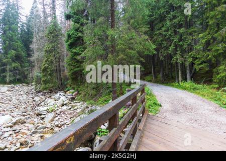 Sentiero in legno nel mezzo della foresta di montagna e circondato da fitta foresta verde e rocce grigie Foto Stock