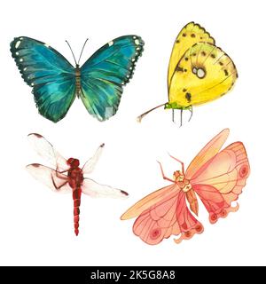 Una serie di farfalle acquerello e libellule di diversi colori dipinte a mano in acquerello su sfondo bianco. Foto Stock