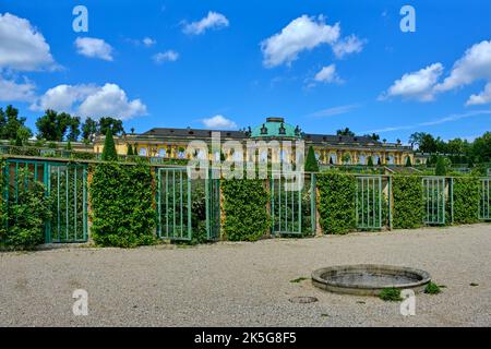 Vista sulle terrazze dei vigneti di Palazzo Sanssouci, Parco Sanssouci, Potsdam, Brandeburgo, Germania. Foto Stock