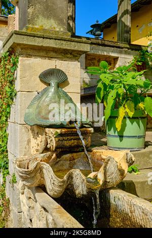 Pesce piatto e conchiglia di mitili, fontana particolare, bagni romani nel Parco Sanssouci, Potsdam, Brandeburgo, Germania. Foto Stock