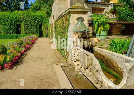 Pesce piatto e conchiglia di mitili, fontana particolare, bagni romani nel Parco Sanssouci, Potsdam, Brandeburgo, Germania. Foto Stock