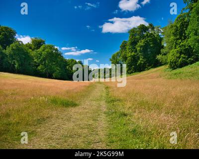 Un percorso attraverso lunghe erbe tra due colline fiancheggiate da tress con foglie verdi. Preso in una giornata di sole in estate con cielo blu. Foto Stock