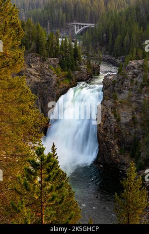 Le Upper Falls del fiume Yellowstone attraversano il Canyon nel tardo pomeriggio Foto Stock