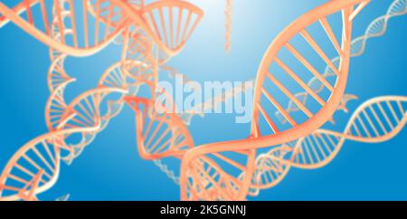 Molecole di DNA (acido desossiribonucleico), illustrazione concettuale. Foto Stock