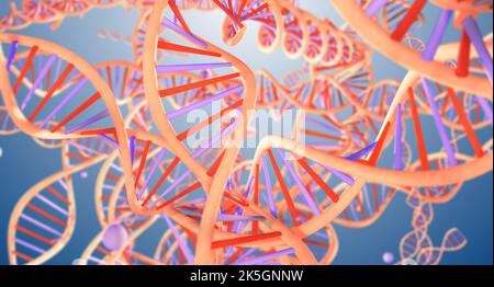 Molecole di DNA (acido desossiribonucleico), illustrazione concettuale. Foto Stock