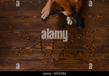 Iscrizione 2023 fiancheggiata da cibo secco per cani su fondo di legno marrone e muso di pastore tedesco. Vista dall'alto. Originale layout creativo natalizio per pe Foto Stock