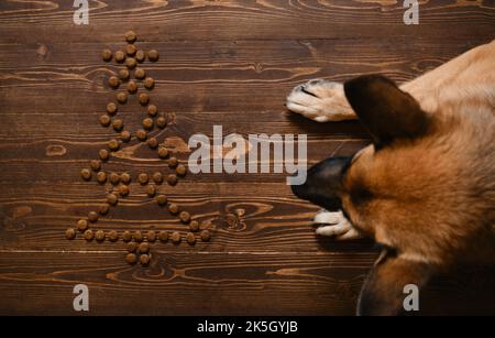 Il cane pastore tedesco si trova su sfondo di legno accanto all'albero di Natale fatto di cibo secco per cani. Vista dall'alto. Sfondo di Natale con bel cane purerosso. Foto Stock