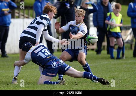 Jedburgh, Regno Unito. 8th Ott 2022. Home Side JedForest ha ottenuto una vittoria decisiva nel 51-20 su Visitors Heriots Blues Men al Riverside Park di Jedburgh sabato 08 ottobre 2022. Credit: Rob Gray/Alamy Live News Foto Stock