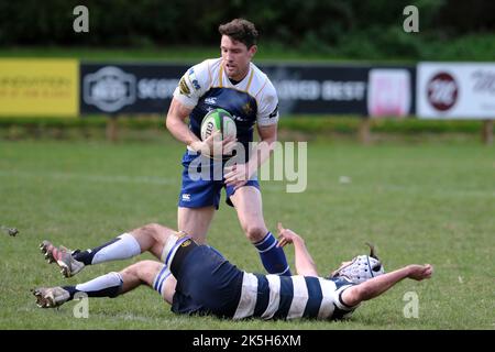 Jedburgh, Regno Unito. 8th Ott 2022. Home Side JedForest ha ottenuto una vittoria decisiva nel 51-20 su Visitors Heriots Blues Men al Riverside Park di Jedburgh sabato 08 ottobre 2022. Credit: Rob Gray/Alamy Live News Foto Stock