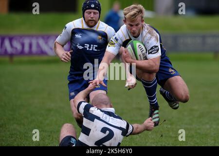 Jedburgh, Regno Unito. 8th Ott 2022. Home Side JedForest ha ottenuto una vittoria decisiva nel 51-20 su Visitors Heriots Blues Men al Riverside Park di Jedburgh sabato 08 ottobre 2022. Credit: Rob Gray/Alamy Live News Foto Stock