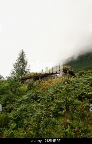 Tetto in erba su una casa in Olden Norvegia. Casa in legno con tetto in erba. Cabina con tetto verde. Eco, alloggi sostenibili. Sviluppo ambientale. Foto Stock