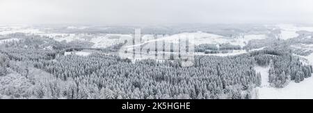 Blick über verschneite Harzer Wälder Foto Stock