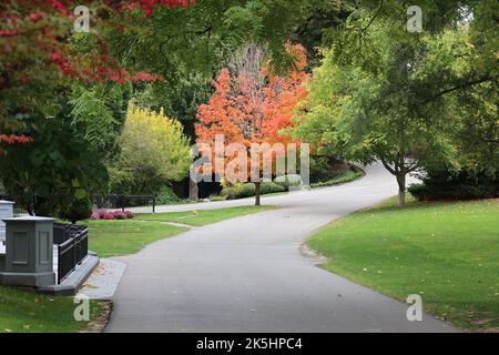 L'aranciato si erge su un parco prevalentemente verde. Nessuna gente Foto Stock