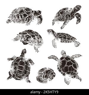 Grande set di tartarughe di diverse specie in stile retrò linocut, silhouette vintage di tartarughe isolate sul bianco Illustrazione Vettoriale