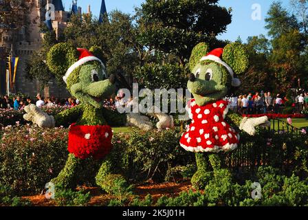 Cespugli e arbusti sono tagliati e disegnati come Topolino e Minnie mouse, vestiti nella festa di Natale al Walt Disney World Foto Stock