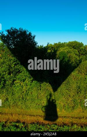 Francia, Essonne (91), Chalou-Moulineux, vista aerea dell'ombra di un pallone ad aria calda sul bordo della foresta Foto Stock