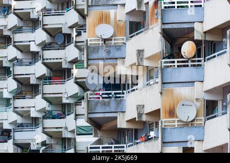 Alto edificio residenziale con balconi e piatti satellitari, Trabantenstadt Chorweiler a Colonia, Nord Reno-Westfalia, Germania Foto Stock