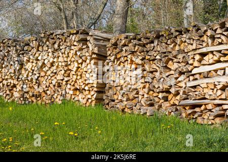 Tronchi impilati, Sassonia, Germania Foto Stock