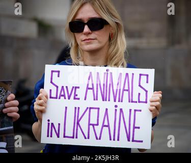 Varsavia, Polonia. 08th Ott 2022. Circa un centinaio di persone si sono radunate per sensibilizzare il pubblico sul trattamento degli animali danneggiati dal conflitto in Ucraina durante l'invasione russa a Varsavia, Polonia, il 08 ottobre 2022. (Foto di Jaap Arriens/Sipa USA) Credit: Sipa USA/Alamy Live News Foto Stock