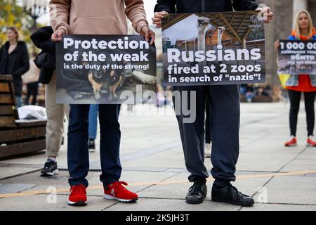 Varsavia, Polonia. 08th Ott 2022. Circa un centinaio di persone si sono radunate per sensibilizzare il pubblico sul trattamento degli animali danneggiati dal conflitto in Ucraina durante l'invasione russa a Varsavia, Polonia, il 08 ottobre 2022. (Foto di Jaap Arriens/Sipa USA) Credit: Sipa USA/Alamy Live News Foto Stock