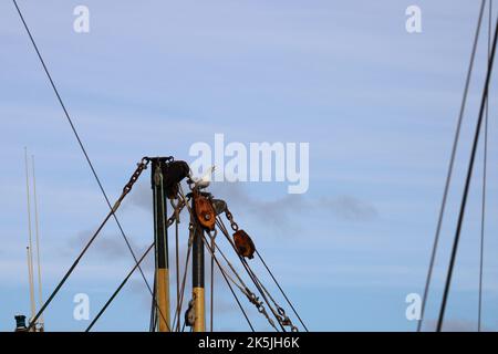 Gabbiano che squawking su a del palo di una barca Foto Stock