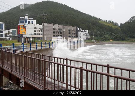 5 settembre, 2022-Busan, Corea del Sud-onde colpire la costa vicino Okpo-porto a Geoje, Corea del Sud. Il Super Typhoon Hinnammor si è gradualmente spostato verso nord per raggiungere le acque al largo dell'isola meridionale di Jeju lunedì, l'agenzia meteorologica statale ha detto, mentre la Corea del Sud si fa avanti per quella che potrebbe essere la tempesta più potente mai colpito dal paese. Foto Stock