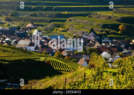 Blick über die Weinberge nach Oberbergen im Kaiserstuhl Foto Stock