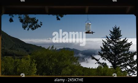 Una vista della baia di San Francisco dal Monte Tamalpais. È un dipinto naturale. Foto Stock