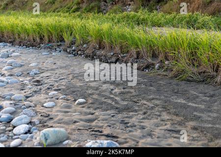 Le forti piogge causano alluvioni che lavano i campi agricoli e l'erosione del suolo nella valle delle palate Foto Stock