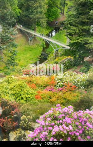 giardini a cragside casa vittoriana del barone inventore william armstrong proprietà di fiducia nazionale rothbury northumberland uk alimentato idroelettrica Foto Stock