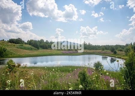 Altopiani di Arsiyan della provincia di Artvin in Turchia Foto Stock