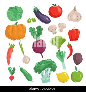 Set di verdure disegnate a mano, illustrazione vettoriale in stile cartoon isolata su sfondo bianco. Verdure fresche, biologiche, deliziose, vegetariane sane Illustrazione Vettoriale