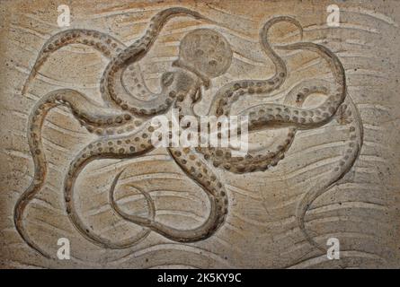 Octopus Stone Carving nel Museo di Storia Naturale di Londra Foto Stock