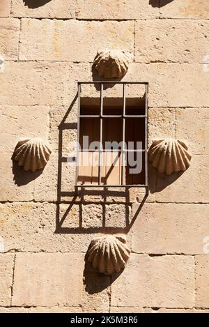 La casa de las Conchas, Salamanca, Provincia di Salamanca, Spagna, Europa. Foto Stock