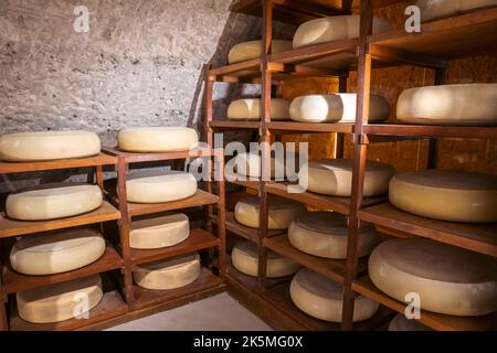 Molti formaggi su scaffali in una cantina di raffinazione in un caseificio. Produzione e maturazione del formaggio. Foto di alta qualità Foto Stock