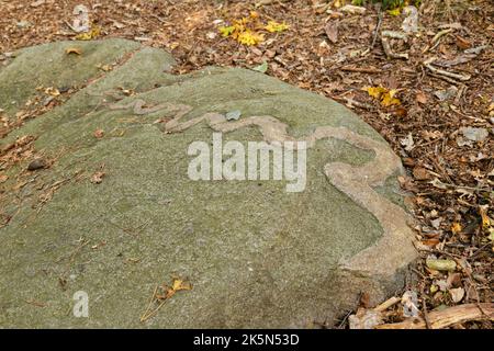 Erratico glaciale noto come drago pietra vicino Donnern, Loxstedt, Cuxhaven, bassa Sassonia, Germania Foto Stock